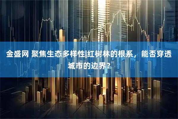 金盛网 聚焦生态多样性|红树林的根系，能否穿透城市的边界？