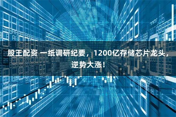 股王配资 一纸调研纪要，1200亿存储芯片龙头，逆势大涨！